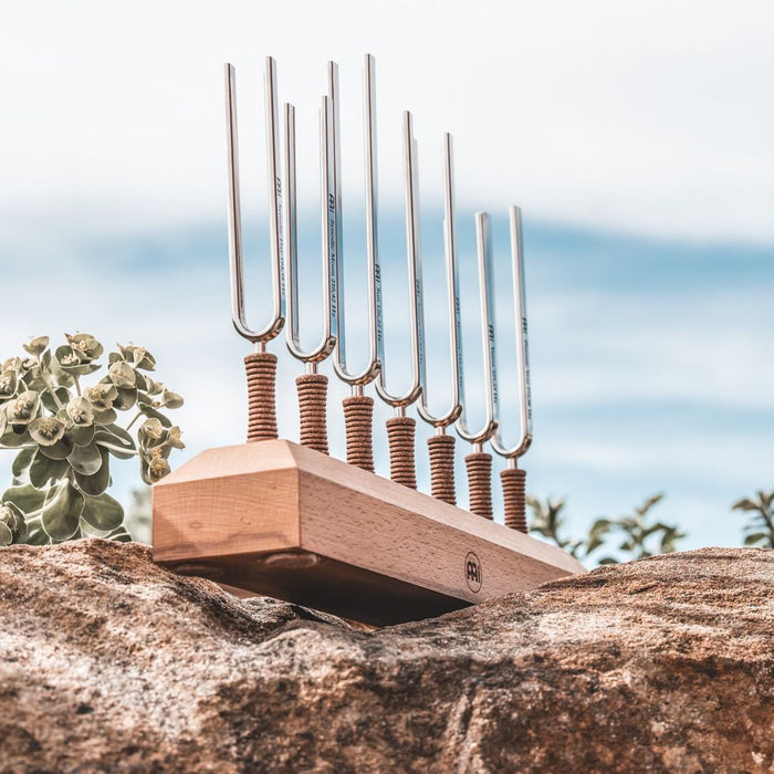 Set of tuning forks on a wooden block outdoors with a blurred natural background