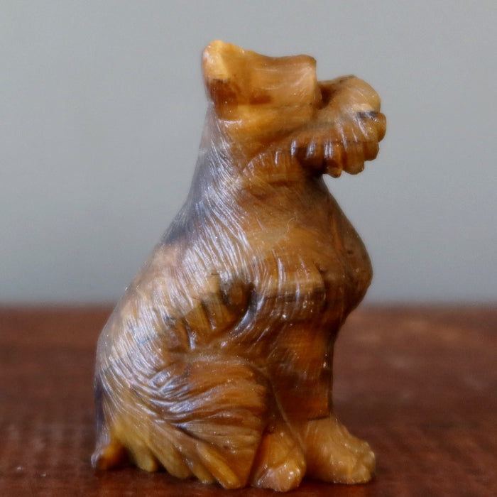 Tigers Eye Dog Scottish Terrier Timeless Golden Guardian