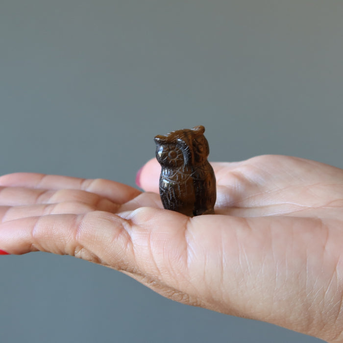 Tigers Eye Owl Ruffled Feathers Wounded Warrior
