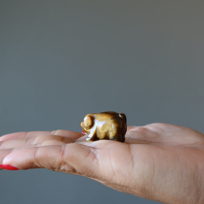 Tigers Eye Pig Prosperity Animal Golden Brown Figurine