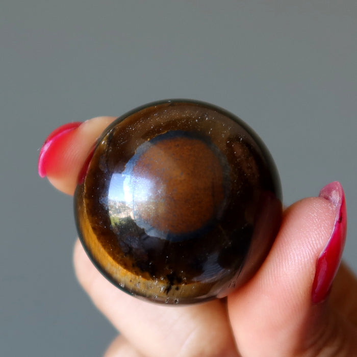 Tigers Eye Sphere Bundle of 6 Golden Brown Crystal Balls