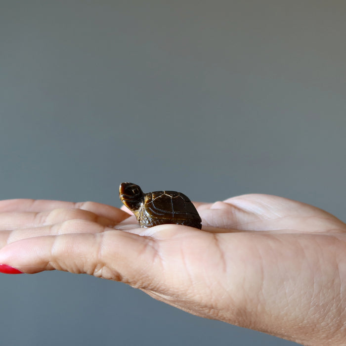 Tigers Eye Turtle My Wise Friend Golden Brown Figurine