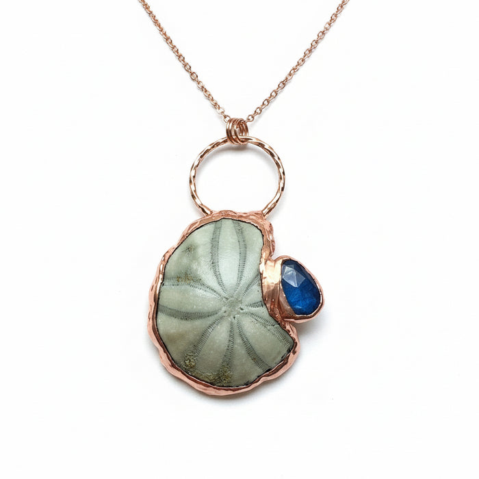 Labradorite Necklace Fossilized Sea Biscuit Blue Gem