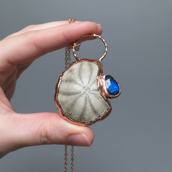 Labradorite Necklace Fossilized Sea Biscuit Blue Gem