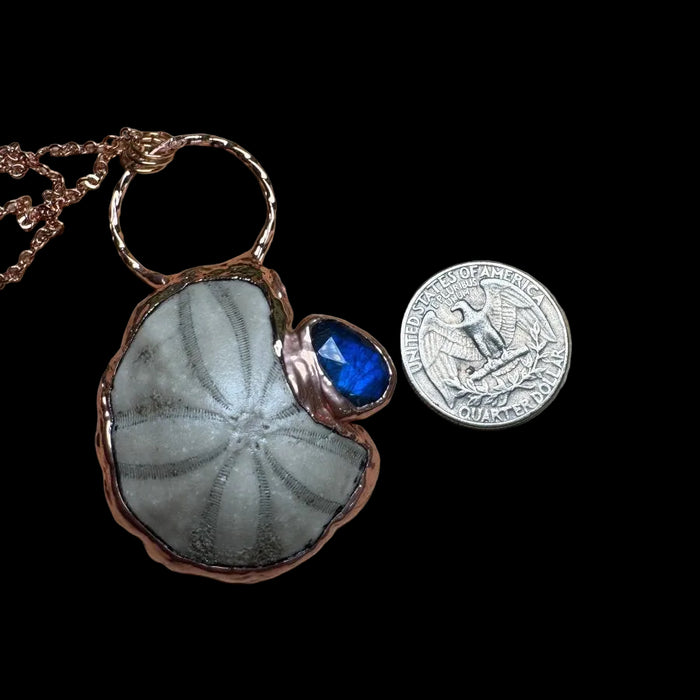 Labradorite Necklace Fossilized Sea Biscuit Blue Gem