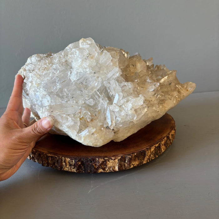 Clear Quartz Cluster Giant 31.5 Lbs Crystal Showpiece Wood Stand