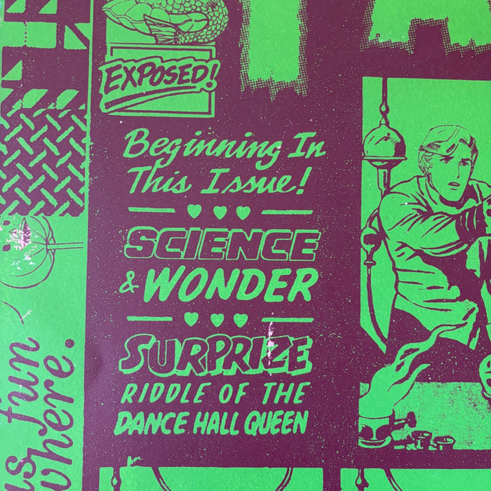 FAILE Wonder Wheel 32/250 Signed Numbered Silkscreen Print Street Art Husky Dog