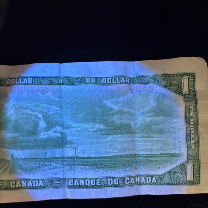 Vintage Banknote Canada 1 Dollar 1954 Queen Elizabeth II Saskatchewan Currency