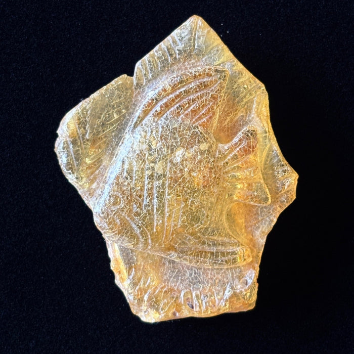 Copal Amber Fish Carving Honey Yellow Animal Figurine