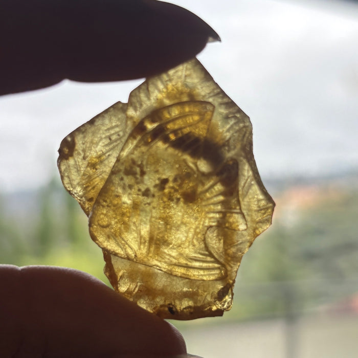 Copal Amber Fish Carving Honey Yellow Animal Figurine