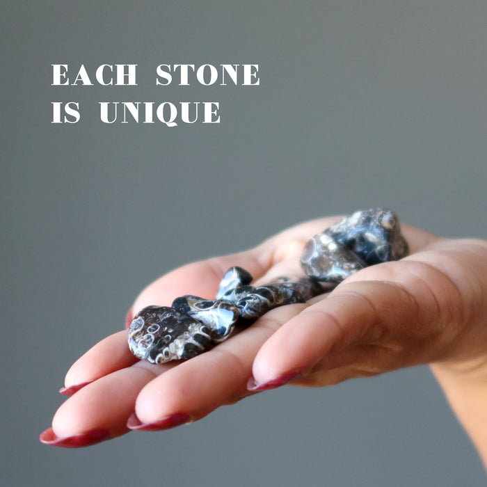 Turitella Agate Tumbled Stones on the palm