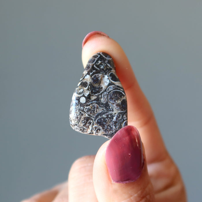 finger tips holding Turitella Agate Tumbled Stone
