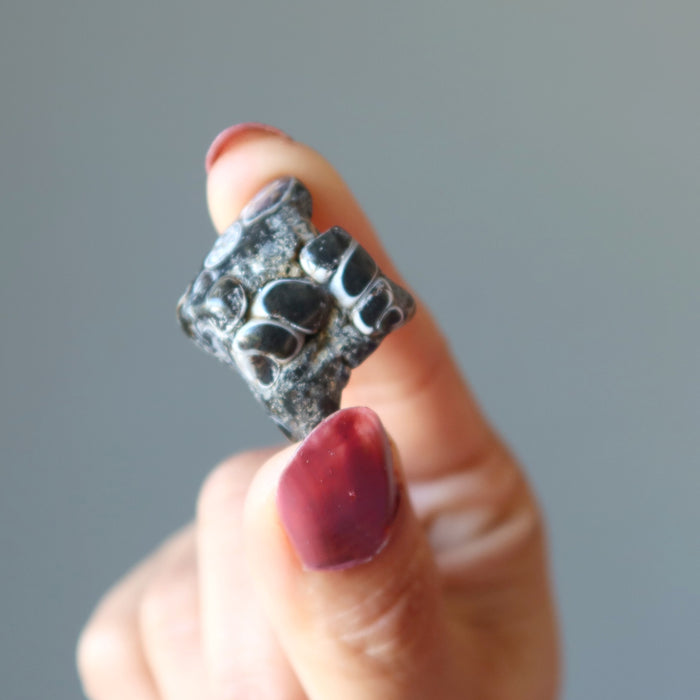 finger tips holding Turitella Agate Tumbled Stone