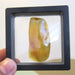 Amber Palm Stone 