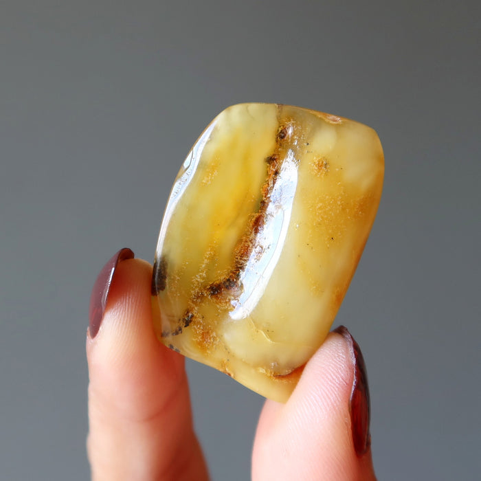 Amber Palm Stone 
