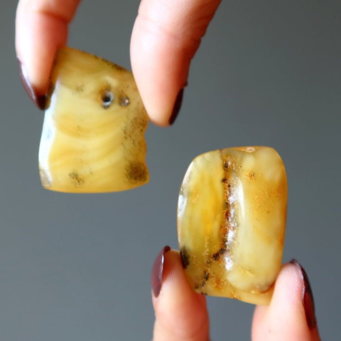 Amber Palm Stone 