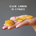 Amber Palm Stone 