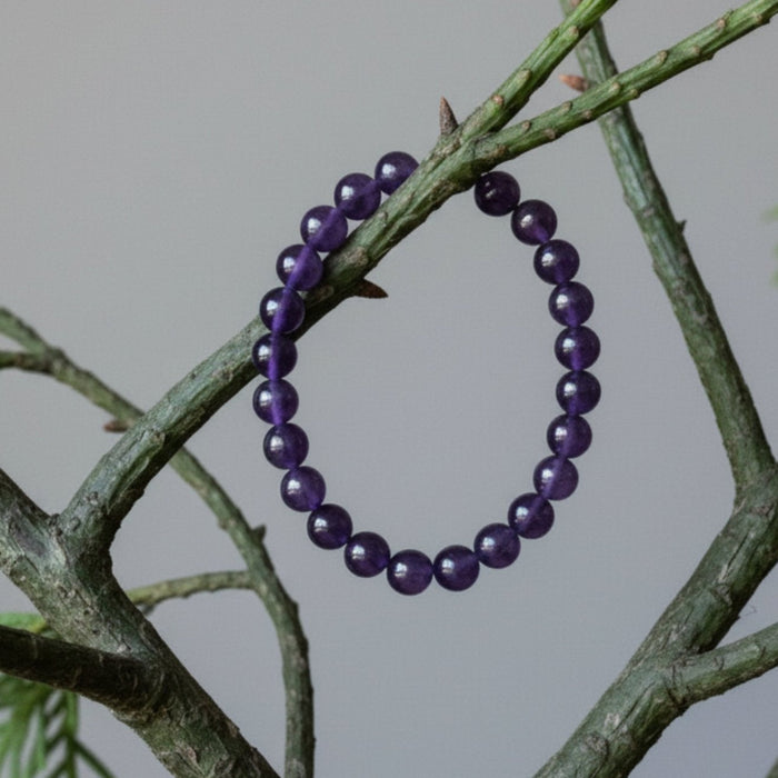 dark amethyst bracelet on green branches