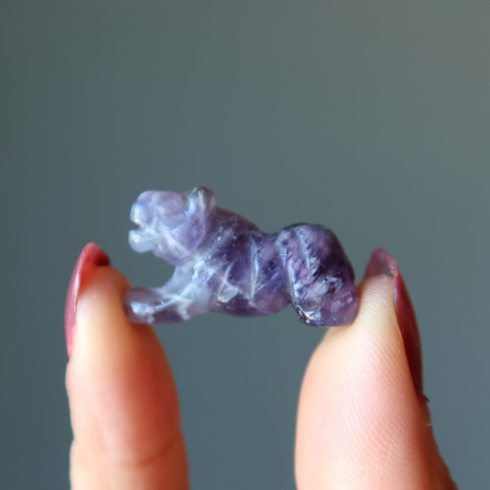 holding an Amethyst Tiger 