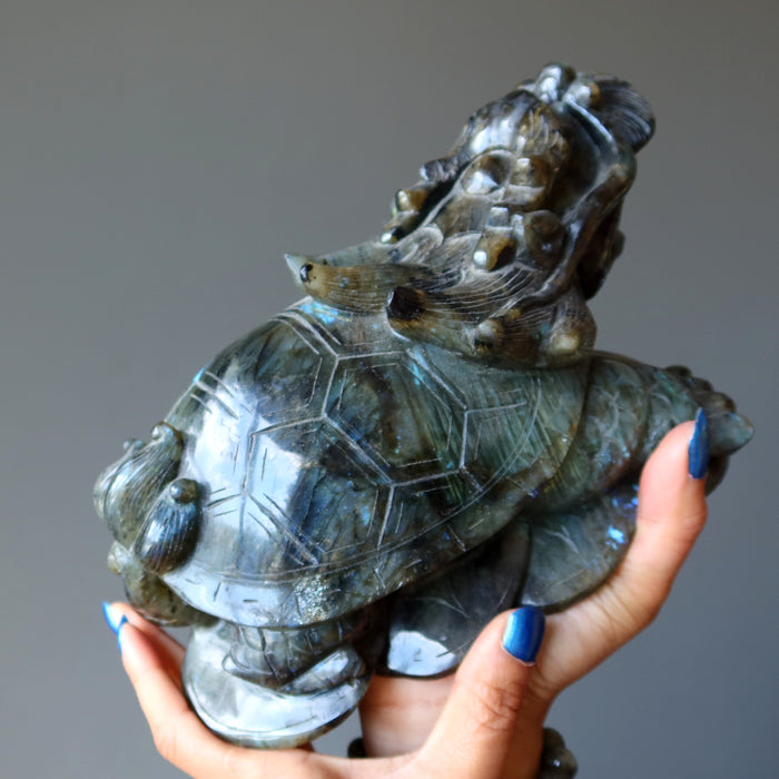 hand holding a big labradorite dragon turtle carvinghand holding a big labradorite dragon turtle carving