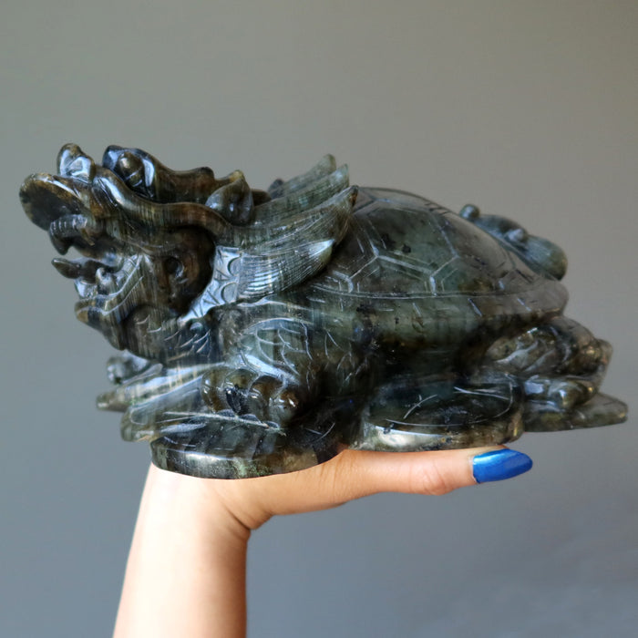 hand holding a big labradorite dragon turtle carving 