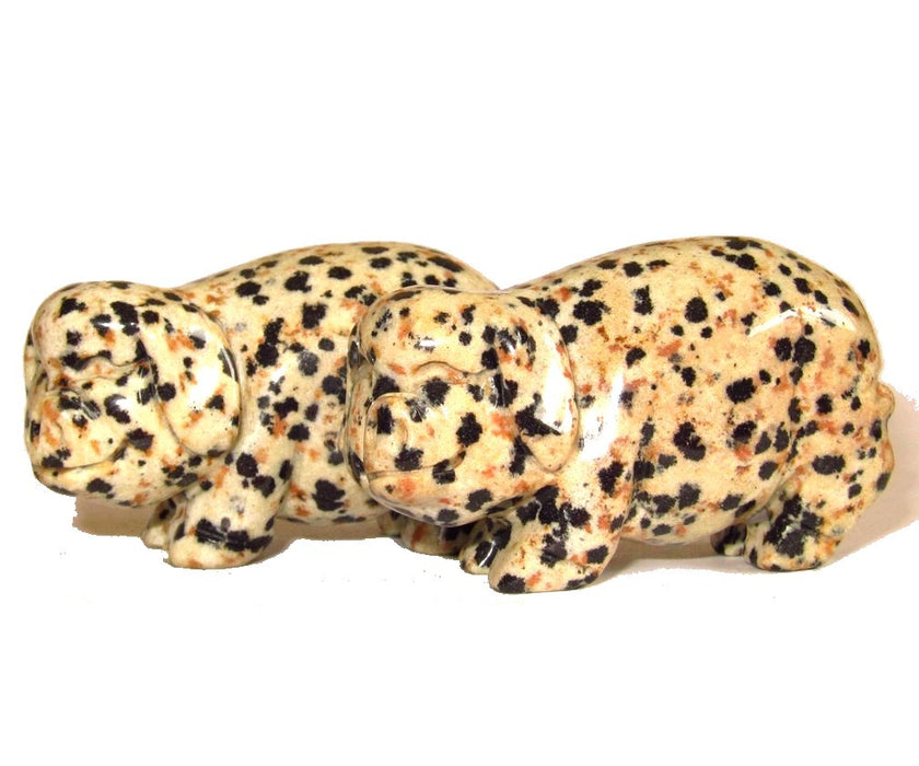 Dalmatian Jasper Pig Cheery Abundance Intelligent Animal Set