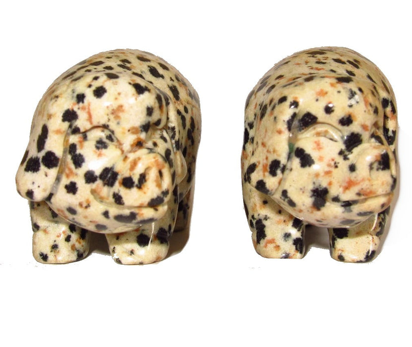 Dalmatian Jasper Pig Cheery Abundance Intelligent Animal Set