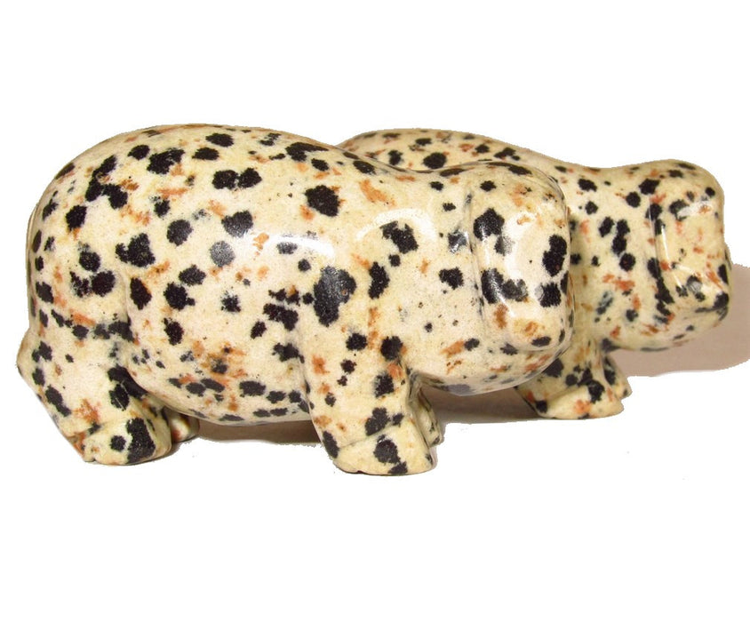 Dalmatian Jasper Pig Cheery Abundance Intelligent Animal Set
