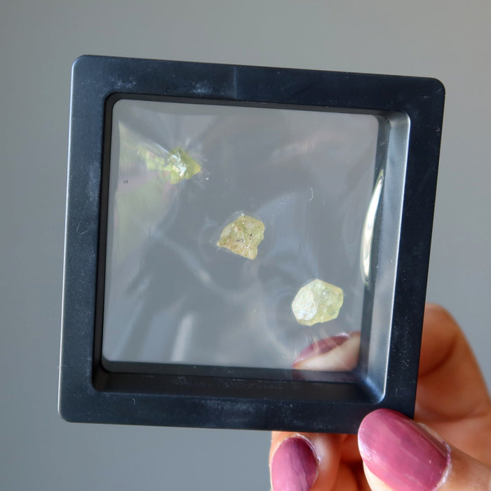 holding three raw green apatite stones in a zero gravity case
