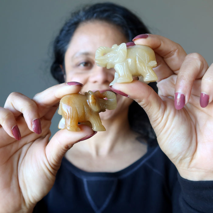 sheila of satin crystals holding Golden Aventurine Elephant Figurines on each hand