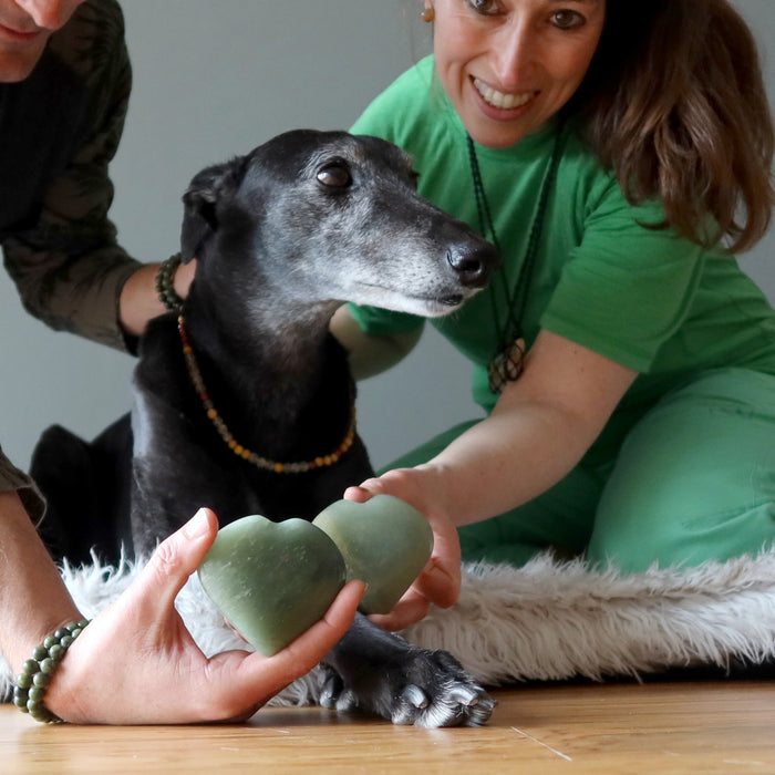 people holding dark green aventurine hearts in front of greyhound dog