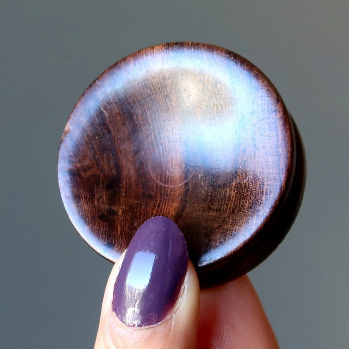 hand holding up a rosewood display stand