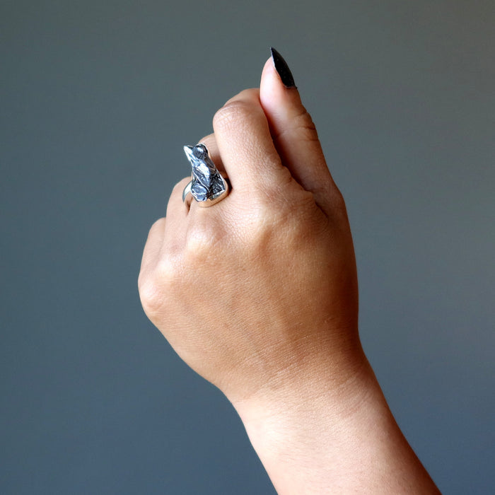 campo del cielo meteorite sterling silver ring