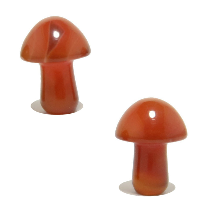 Carnelian Mushroom Forage Red Orange Crystal