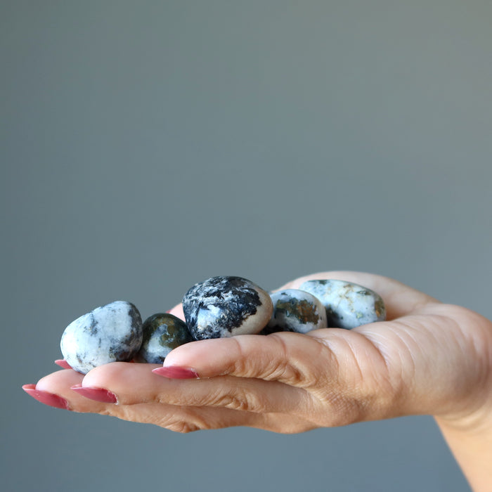 holding Snow Quartz Chalcopyrite Tumbled Stone Set