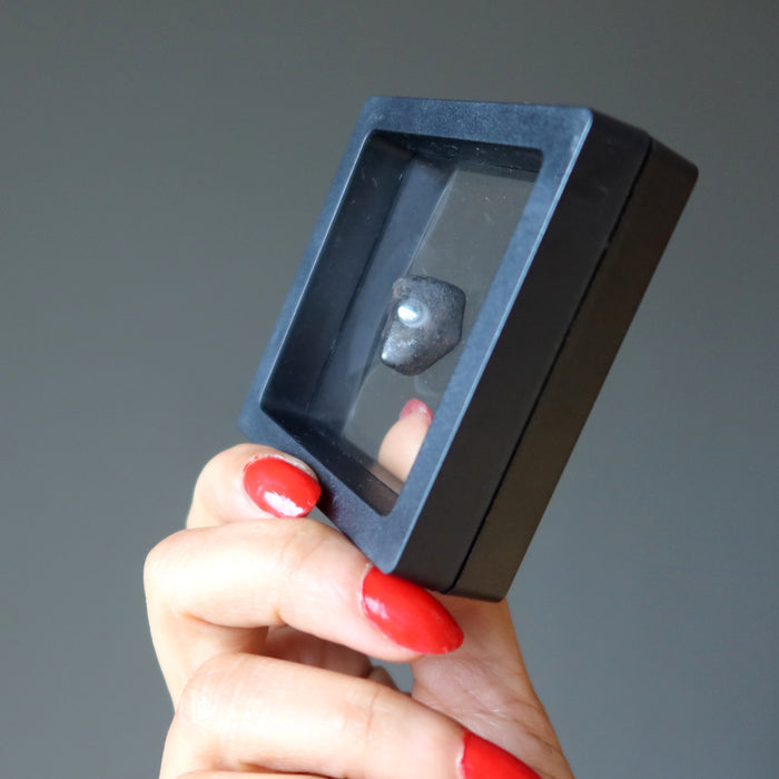 rocky brown chelyabinsk meteorite in secure zero gravity case