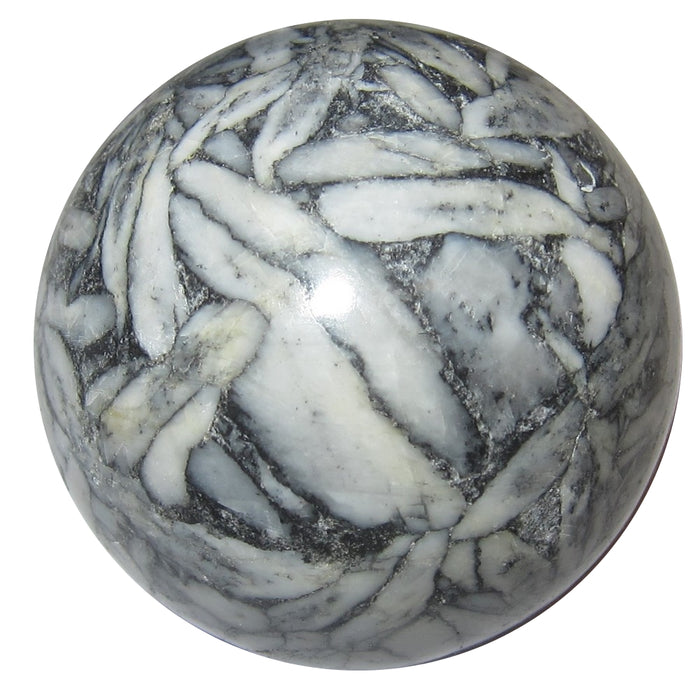 Black and white Chrysanthemum Stone sphere shows vivid patterns