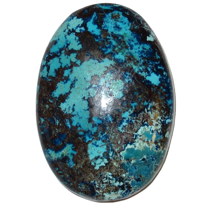 Chrysocolla Grid Crystal Flowers in Water