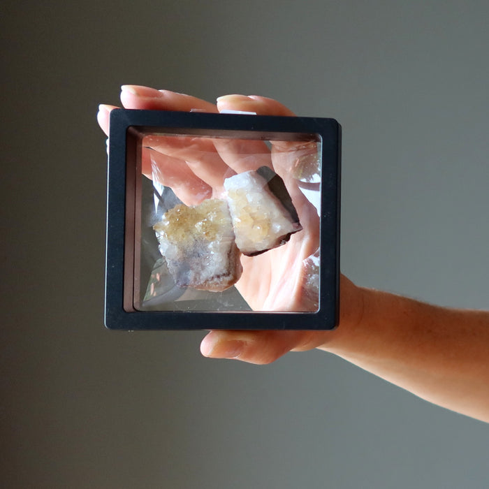 hand holding yellow citrine cluster pair in suspension case
