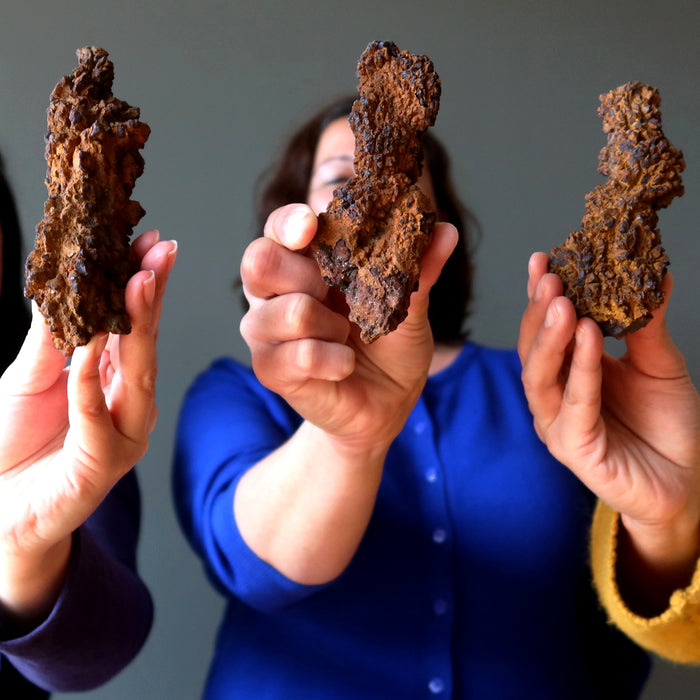 models holding coprolite dinosaur poop