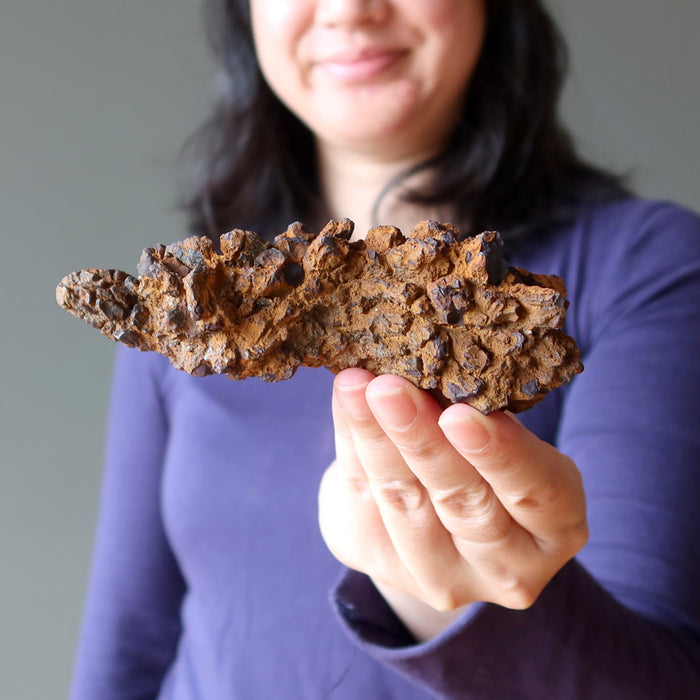 coprolite dinosaur poop