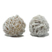 2 Selenite Desert Roses 