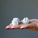 2 Selenite Desert Roses on palm