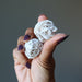 holding 2 Selenite Desert Roses 