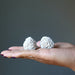 displaying 2 Selenite Desert Roses on the palm