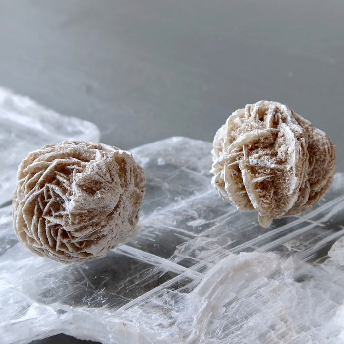 2 Selenite Desert Roses on selenite plate