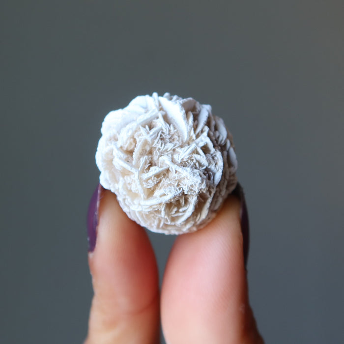 holding 1 Selenite Desert Rose