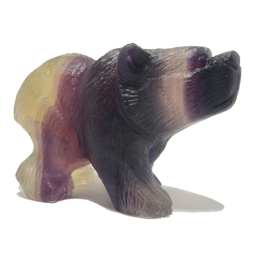  Carved Rainbow Fluorite Bear Statue