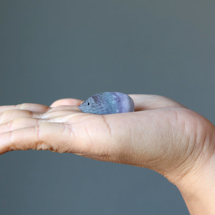 model palm holding Rainbow Fluorite Hedgehog 