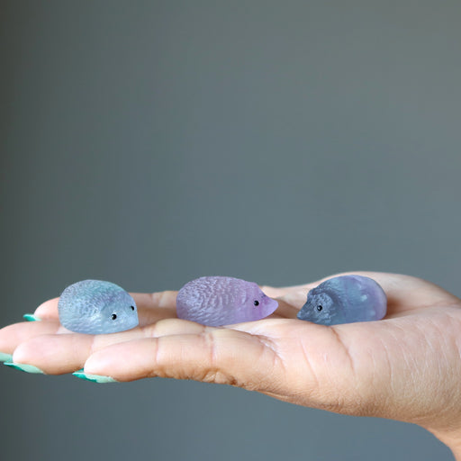 displaying on model palm 3 Rainbow Fluorite Hedgehog Animal Figurines